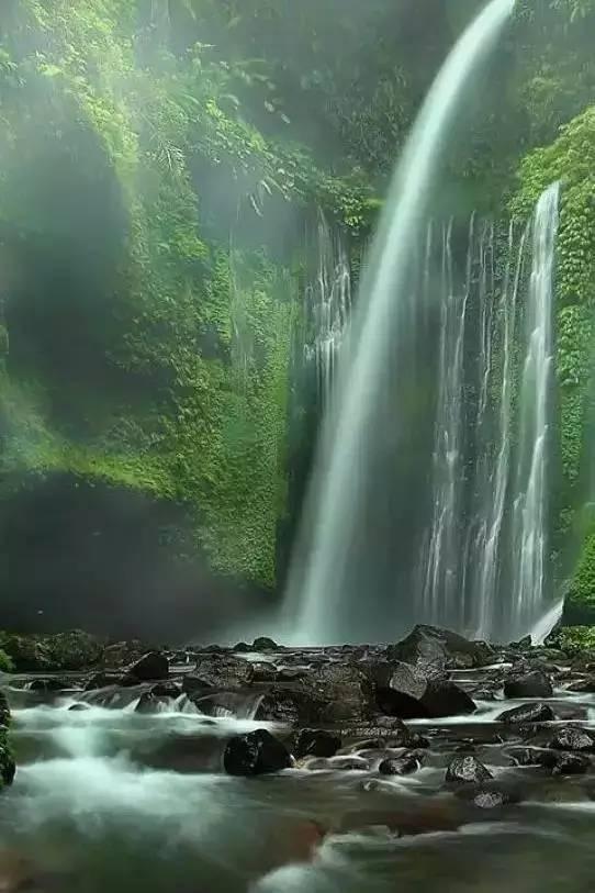 泰拉瑞亚