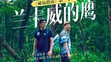 农业设备找不同